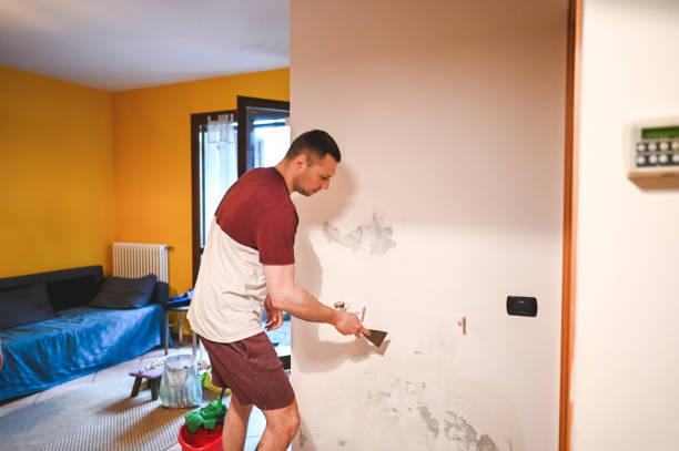 Best Localized Mold Remediation (e.g., coastal areas, humid climates) in San Antonio, TX