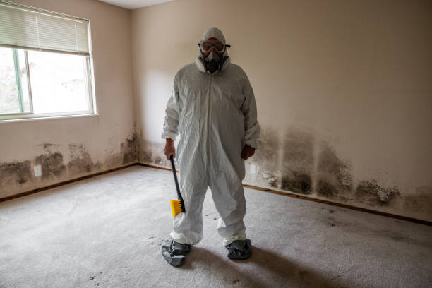 Best Bathroom Mold Remediation in San Antonio, TX